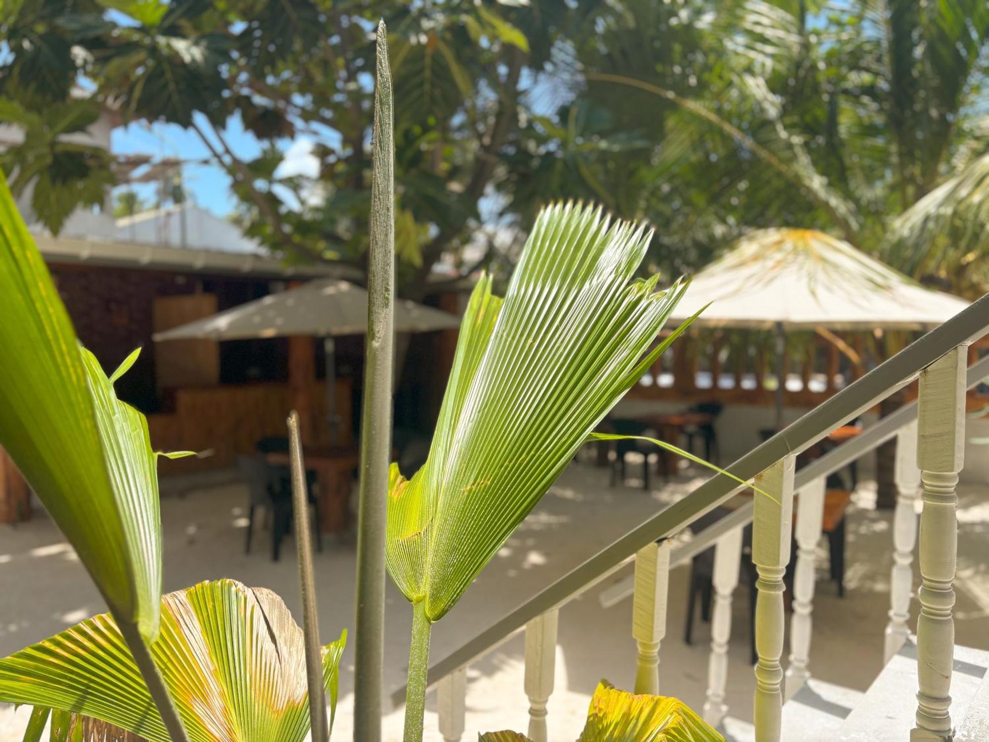 Mathiveri Thundi Inn Exterior photo